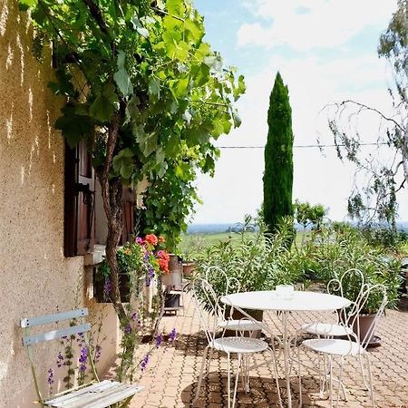 フルーリー Domaine Des Marrans Bed & Breakfast エクステリア 写真